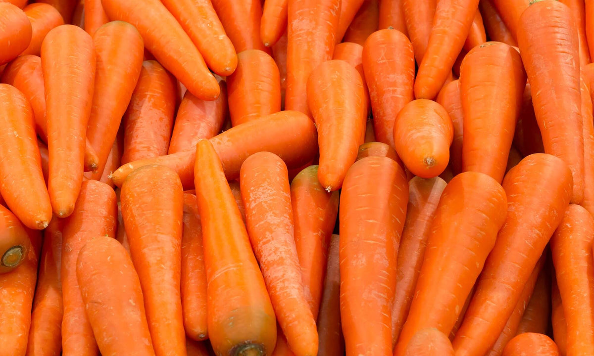 Viele, frische, orangene Karotten auf und nebeneinander