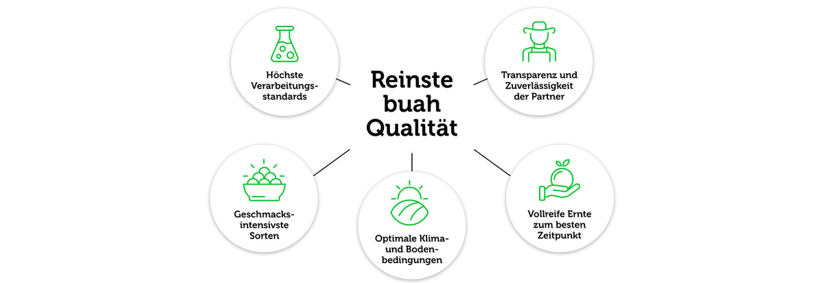 Grafik auf weissem Hintergrund mit 'Reinste buah Qualität' als Mittelpunkt und 5 Bullet Points sternförmig darum angeordnet, mit Icons