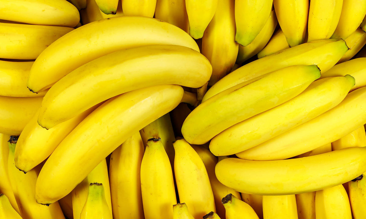 Viele frische gelbe Bananenstauden liegen auf und nebeneinander