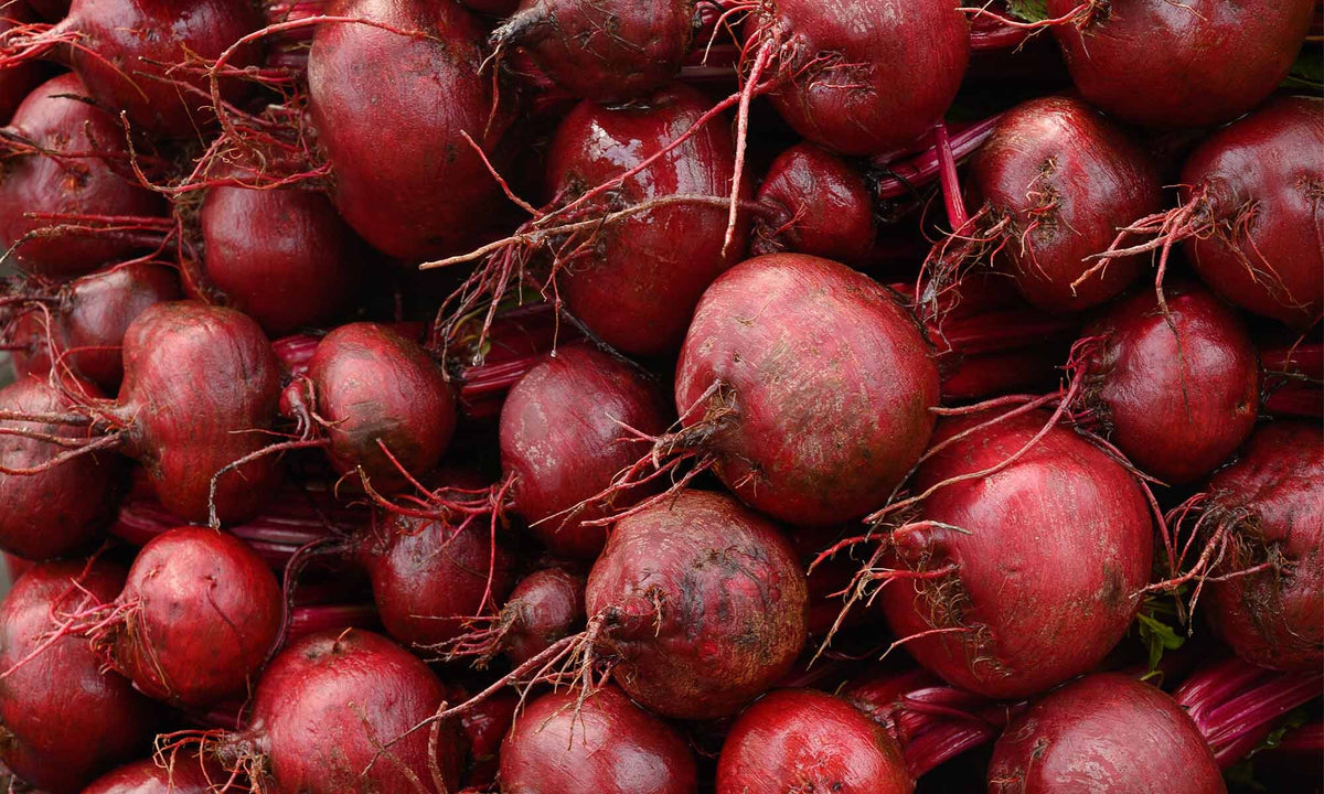 Viele frische Rote Bete Knollen liegen auf und nebeneinander