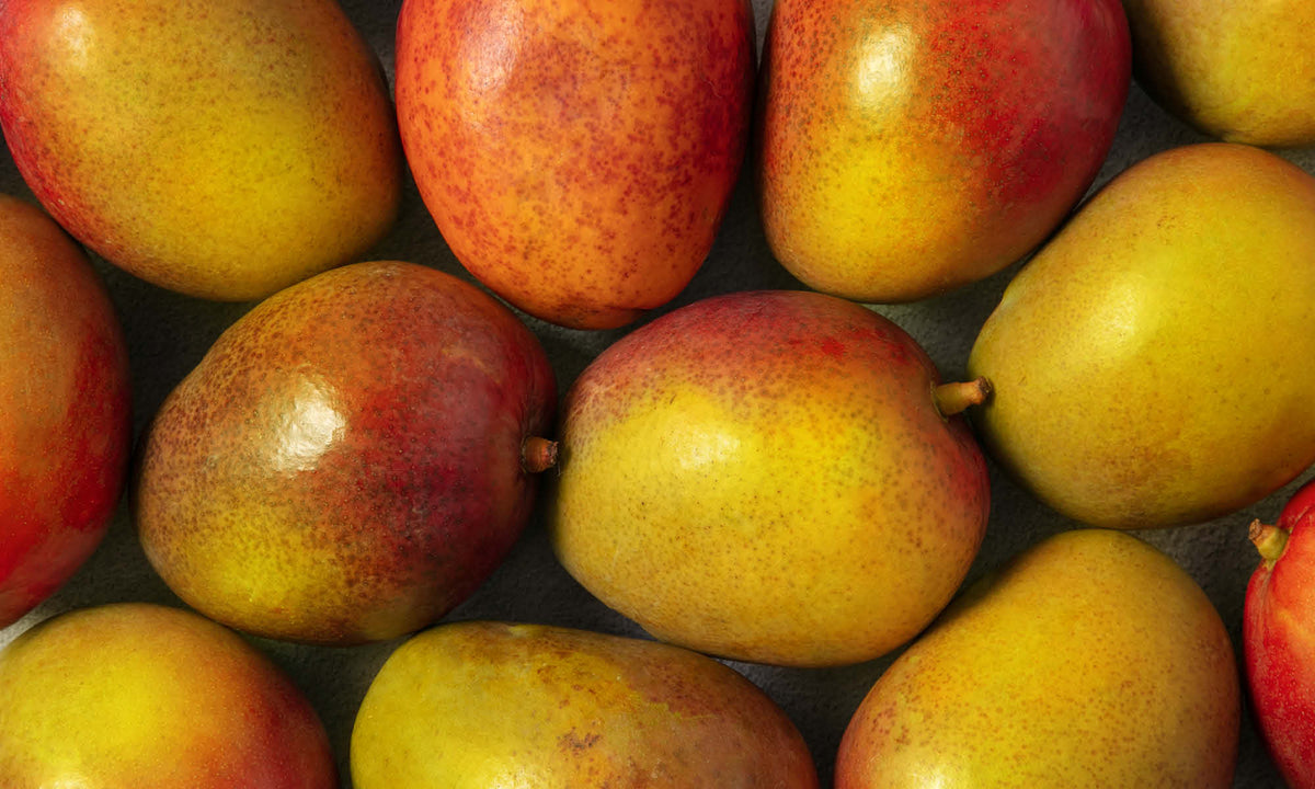 Viele frische Mangos mit roter und orangener Verfärbung neben und aufeinander